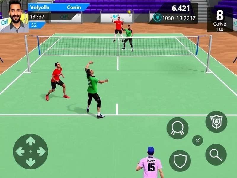 Bolly Volley Elite player statistics in India